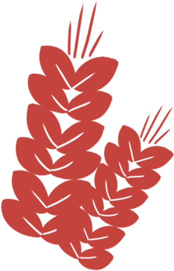 贵州友美| 号角激越催征急 奋发拼搏双过半插图9 贵州友美| 号角激越催征急 奋发拼搏双过半插图9