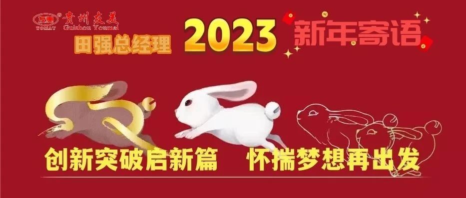 贵州友美｜田强总经理给您拜年缩略图
