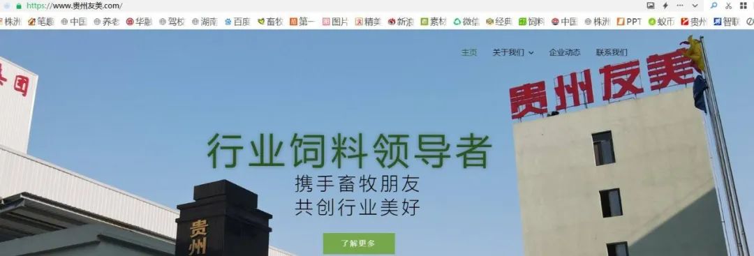 贵州友美｜锚定提质创效 加速蓄势聚力插图9