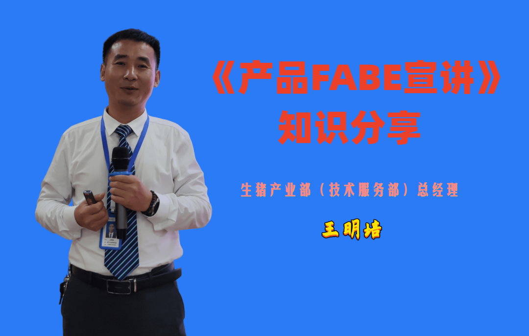 贵州友美｜坚持“五大聚焦”  推进提质增效插图15