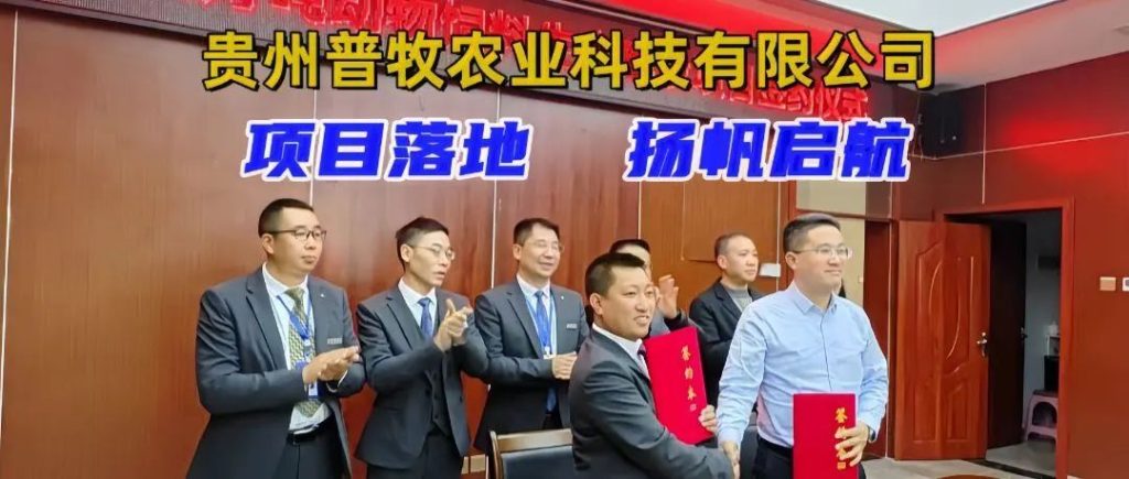 贵州友美｜全速冲刺  决战年终缩略图