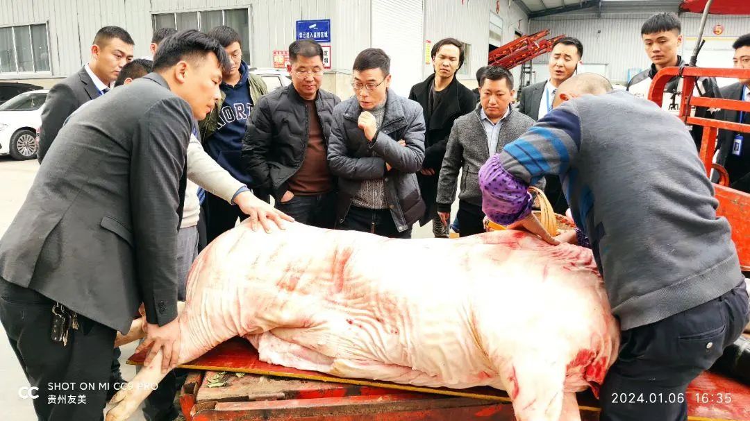 贵州友美｜不负春光迎新程  全力以赴开门红插图40
