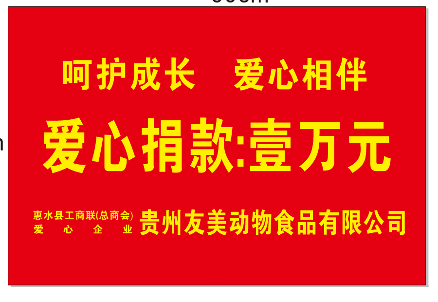 贵州友美| 封顶启新篇 奋楫再扬帆插图6 贵州友美| 封顶启新篇 奋楫再扬帆插图6