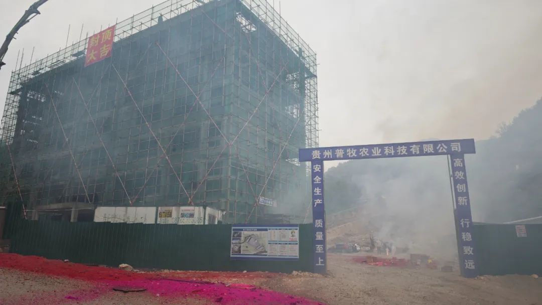 贵州友美| 封顶启新篇 奋楫再扬帆插图2 贵州友美| 封顶启新篇 奋楫再扬帆插图2
