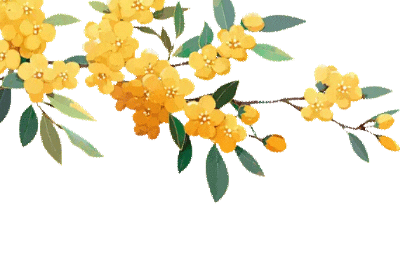 贵州友美| 五载友美正青春 国庆同贺向未来插图1